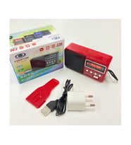 Everton RT-303 Müzik Kutusu Usb-Radyo Everton
