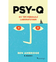PSY-Q - Ev Tipi Psikoloji Laboratuvarı