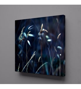 ÇİÇEK TARLASI KANVAS TABLO 70x70cm (Karışık)