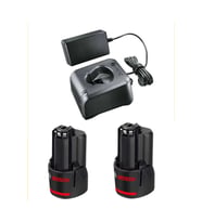 GBA 12V 2.0Ah Profesyonel Akü Çift ve GAL 12V-20 Şarj Cihazı