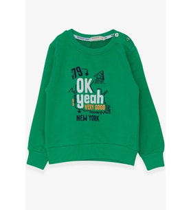 Breeze Erkek Çocuk Sweatshirt Yazı Baskılı 2-6 Yaş, Yeşil