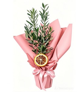 Lemon Ice Zeytin Bonsai Ağacı
