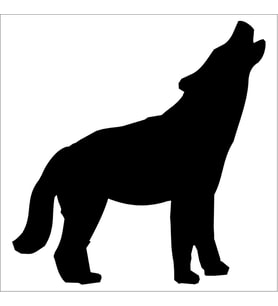 KÖPEK FOLYO STİCKER 200cm Uzunluk (Karışık)