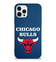 Apple iPhone 12 Pro Max  Lansman Kılıf Chicago Bulls Tasarımlı Altı Kapalı İçi Kadife Kaplı  Kapak (Şeffaf)