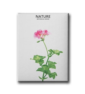 Botanik Canvas Tablo MİND204