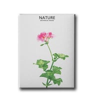 Botanik Canvas Tablo MİND204