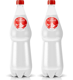 Efsane Gazoz 1500 ml 2li paket