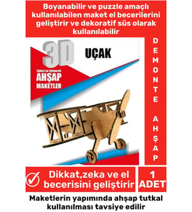 Özel 3D Görsel Zeka Geliştirici Boyanabilir Çocuk Yetişkin Puzzle Dekoratif Demonte Ahşap Oyun Maket