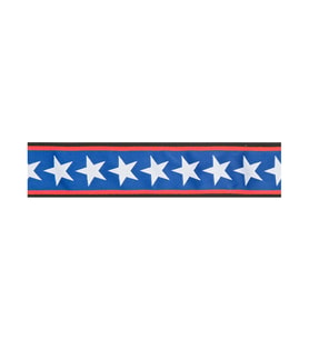 Planet Waves 50PLA10 Kilitli Gitar Askısı Lock-Stars Stripes (5 cm) Planet Lock Sistem - Çıkmaz Kilit - Şık Desen