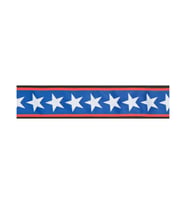 Planet Waves 50PLA10 Kilitli Gitar Askısı Lock-Stars Stripes (5 cm) Planet Lock Sistem - Çıkmaz Kilit - Şık Desen