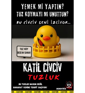 Katil Civciv Tuzluk , 3D Özel Tasarım Dekoratif Koleksiyonluk Tuzluk Baharatlık Seti