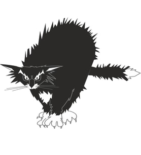 KEDİ FOLYO STİCKER 30cm Uzunluk