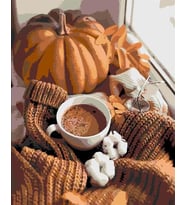 Pumpkin Sayılarla Boyama Seti 40x 50 cm (Tuvale Gerili)