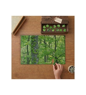 Ağaçlardaki Sarmaşıklar- Orman- Doğa Tasarımı 240 parça Ahşap Puzzle Ahşap Kutuda MP00094