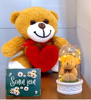 Kalpli Sevimli Peluş Ayıcık ve Led Işıklı Tasarım Fanus Hediye Seti  Premium Set (Model 4)