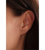 Arı Tragus Küpe