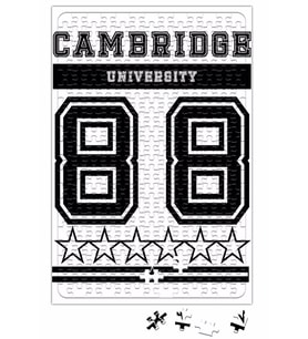 Cambridge Puzzle 240 Parça Yapboz