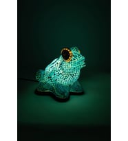 Lumino Frog Gili (Çok Renkli)