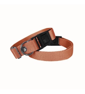 Markapet Köpek Tasması Dokuma 2 cm - Min: 30 cm - Max: 50 cm Turuncu