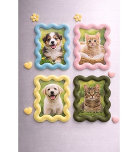 4'lü Set Mini Çerçeve Buzdolabı Magneti (Çok Renkli)