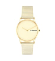 Calvin Klein CK25100035 Kadın Kol Saati
