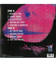 Foo Fighters Medicine At Midnight - Plak