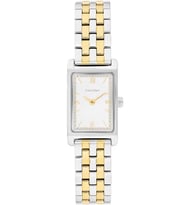Calvin Klein Ck25100199 Kadın Kol Saati