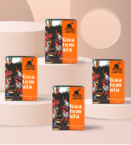 4'lü Alerya Coffee Guatemala Filtre Kahve Hediye Seti