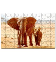 Cakapuzzle Afrika Savanada Anne Fil ve Yavrusu Puzzle Yapboz MDF (Ahşap) (120 Parça)