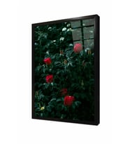 Tablosan Kırmızı Güller Çerçeveli Cam Tablo