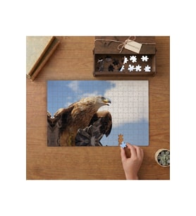 Şahin - Yırtıcı Kuş Tasarımı 240 parça Ahşap Puzzle Ahşap Kutuda MP06377