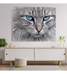 Yakın Çekim Mavi Gözlü Kedi Temalı Dekoratif Kanvas Tablo