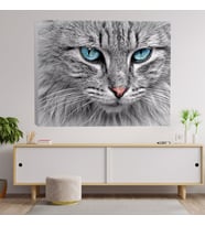 Yakın Çekim Mavi Gözlü Kedi Temalı Dekoratif Kanvas Tablo