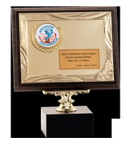ODAK KUPA - Ahşap Plaketler - PL-126 B - 18x24 cm