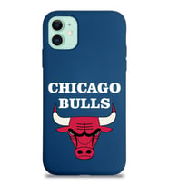 Apple iPhone 11 Uyumlu Lansman Kılıf Chicago Bulls Tasarımlı Altı Kapalı İçi Kadife Kaplı  Kapak (Şeffaf)
