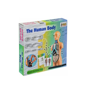 Asya Oyuncak The Human Body İnsan Vücut Tanıma Seti