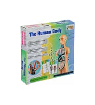 Asya Oyuncak The Human Body İnsan Vücut Tanıma Seti