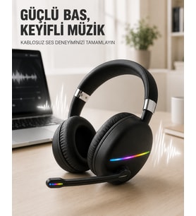 Rgb Siyah Kulaklık MAX-17