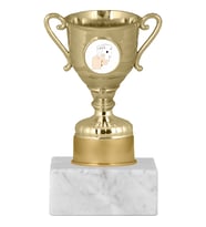 ODAK KUPA - Genel Kupalar - GN-051 B - 14 cm
