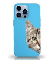 Apple iPhone 13 Pro Uyumlu Lansman Kılıf Catface Tasarımlı Altı Kapalı İçi Kadife Kaplı  Kapak (Şeffaf)