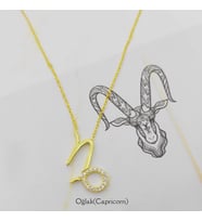 Gümüş Oğlak Burç Kolye 925 Ayar