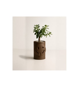 Alvera Emoji Planter – 3D Baskı Göz Kırpan Yüzlü Minik Yeşil Saksısı-Kahverengi
