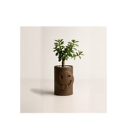 Alvera Emoji Planter – 3D Baskı Göz Kırpan Yüzlü Minik Yeşil Saksısı-Kahverengi