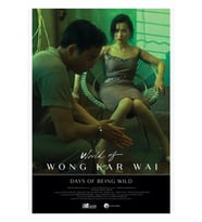 Days Of Being Wild By Wong Kar Wai Hong Kong Japanese Alternatif Tablo Ahşap Poster Dekoratif