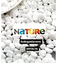 Beyaz Peyzaj Bahçe Saksı Taşı 2 Kg