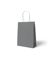 18x8x24 Büküm Saplı Çanta 10'lu Gümüş M537