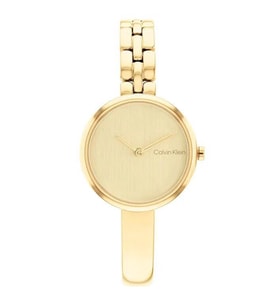 CALVIN KLEIN CK25200279