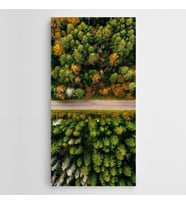 Yol Ağaçlar Panoramik Kanvas Tablo