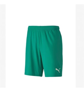 Puma 704262 Teamgoal 23 Knit Shorts Yeşil