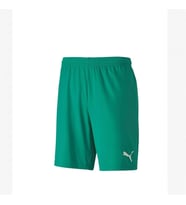 Puma 704262 Teamgoal 23 Knit Shorts Yeşil